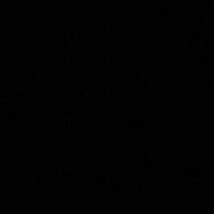 Meet your Posher, Cody